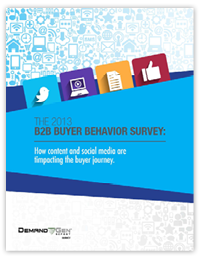 2013 B2B Buyer Survey Cover