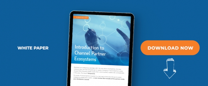 Introduction to Channel Partner Ecosystems